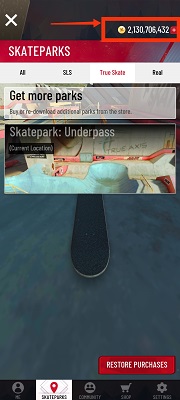 True Skate screenshots